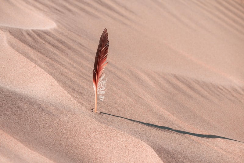 Desert Sand Dunes